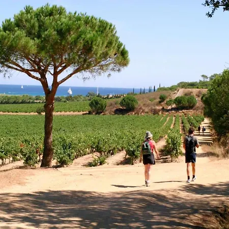 Willa In Gassin Near Tropez Beaches *