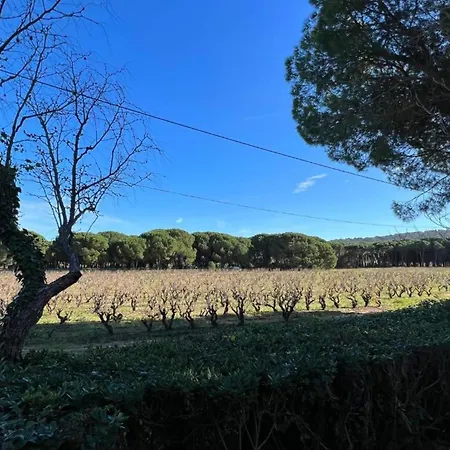In Gassin Near Tropez Beaches *